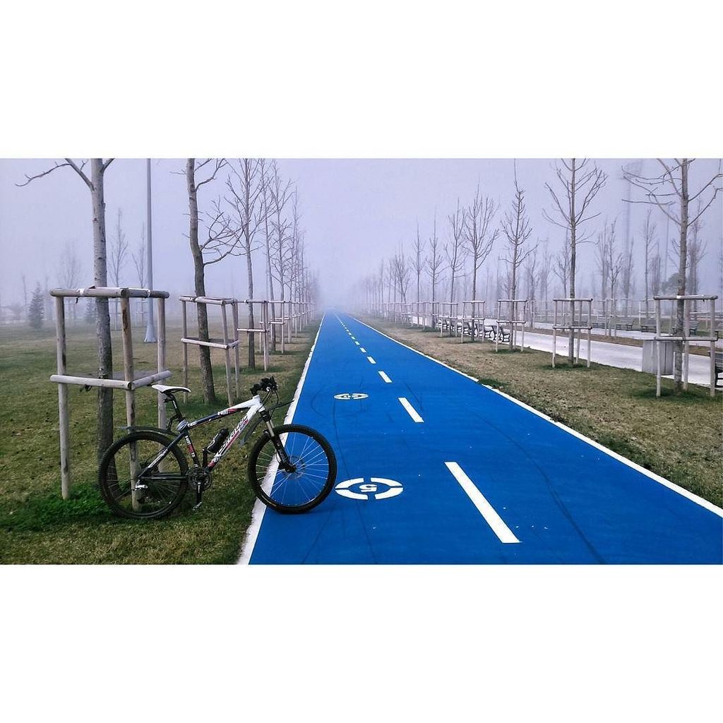 InstaBicycle's tweet photo. Via @mttemur: 🍁🍃🍂🌿 🎼⛵⛵🌊🌊🌊 iyi akşamlar
#Bisiklet #bike #cycling #cyclingphotos #instacyc… https://t.co/MtFcyFSUBr https://t.co/Yd2Qxx6WF4