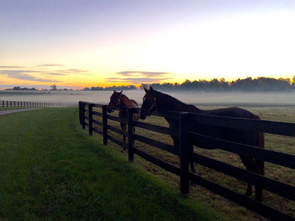 Are you as ready for spring in the bluegrass as we are? #parisky #Explorekentucky #travelky #outdoors #bluegrass
