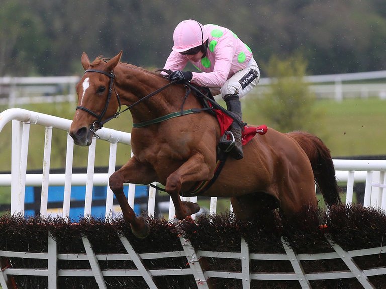 Chelt_Tips's tweet photo. Willie Mullins horses in the wrong races? https://t.co/ahSkrwMLaN

#CheltFest #CheltTips #CheltenhamFestival https://t.co/t4DZgohK7N