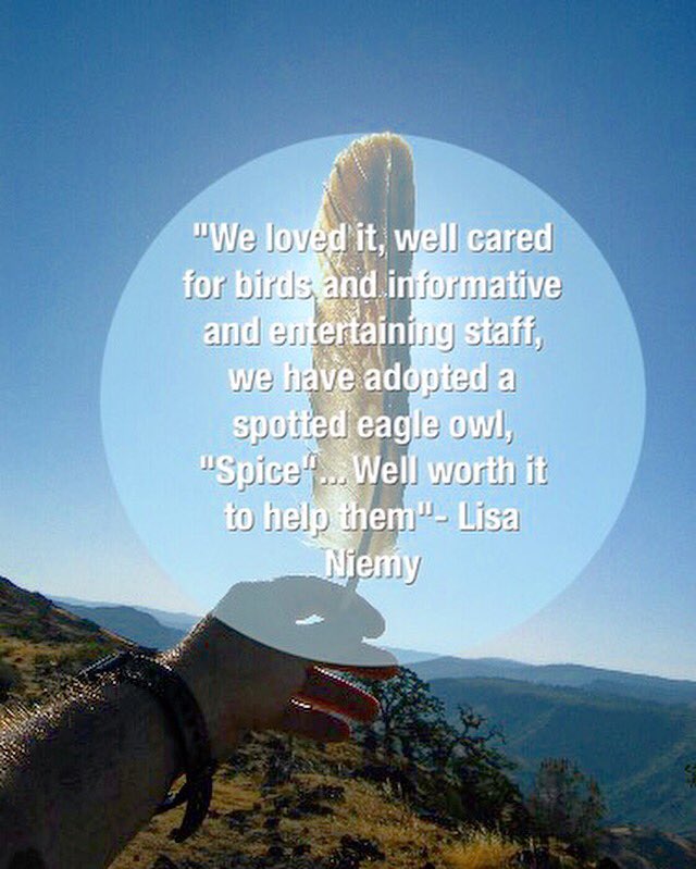 EncountersEagle's tweet photo. Thank you Lisa for your lovely review #eagleencounters #capetown #eaglerescue #eagleowl #owl #eagles #raptors https://t.co/85Zcn3JKOx