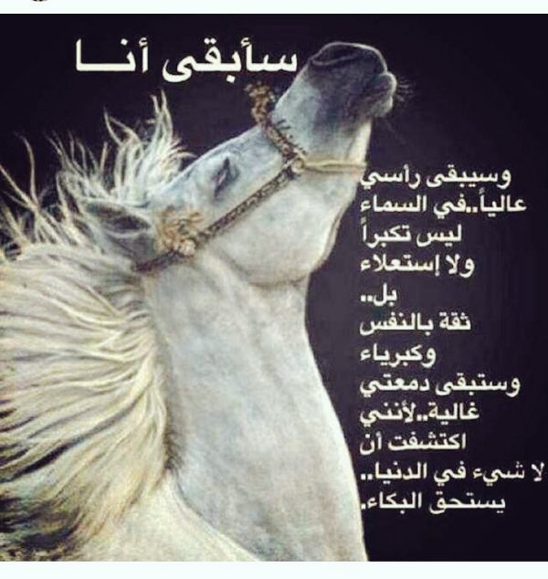 safti1872's tweet photo. أعلِّمهُ الرِّماَيَةَ كُلَّ يوَمٍ ... فَلَمَّا اسْتَدَّ ساَعِدُهُ رَمَاني https://t.co/aBBnXa17Fq