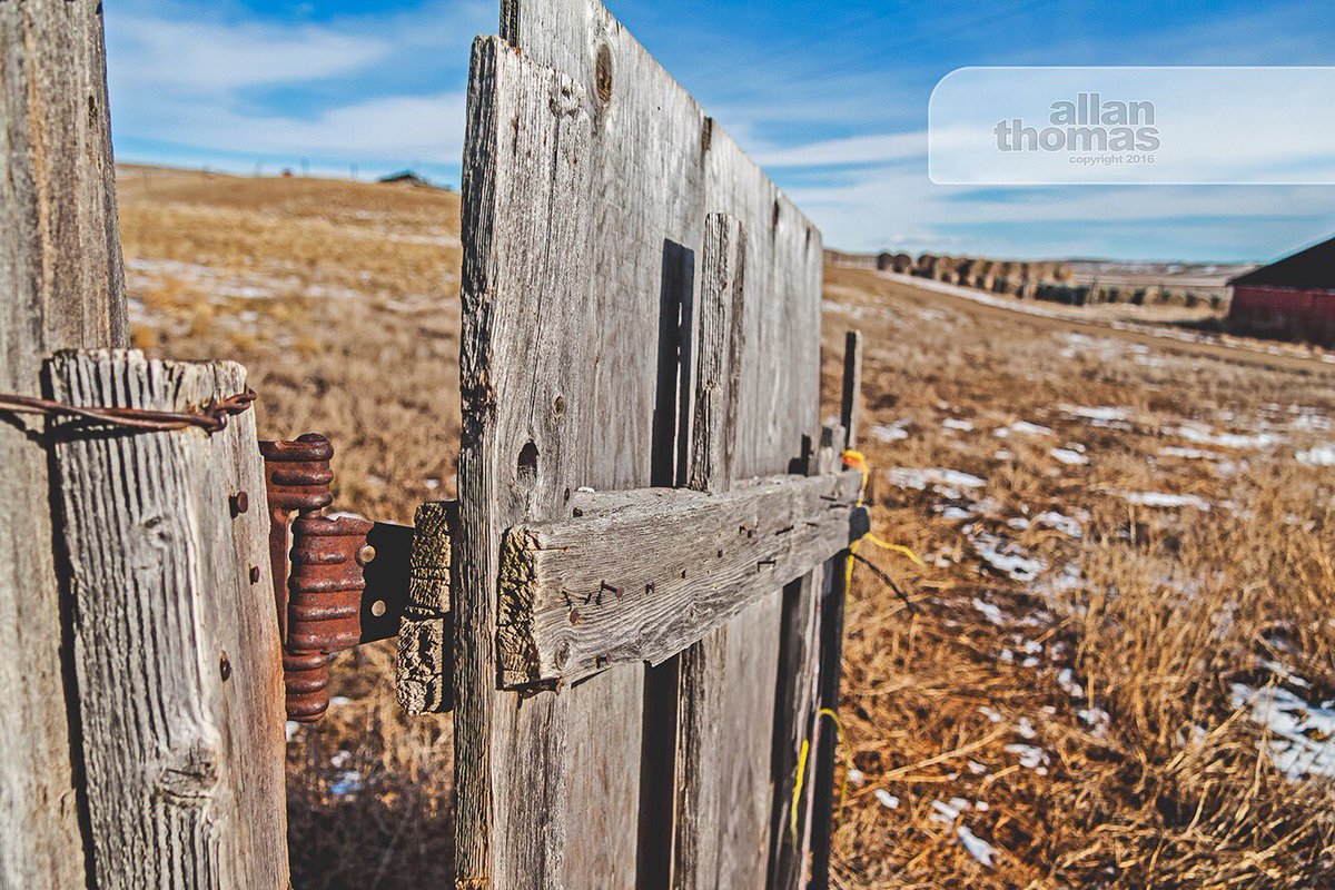 AllanThomas2015's tweet photo. Simply interesting.
#weathered #history #originalhomestead #alberta #allanthomas2015 #southernalbertaphotographer https://t.co/Hmq2mTv1he