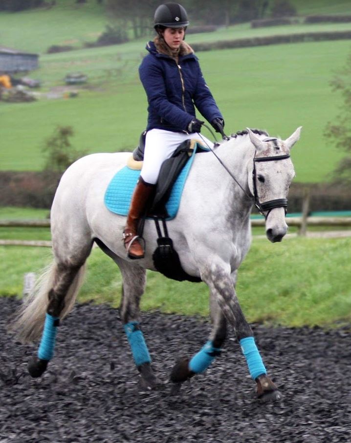 Evo_Equine's tweet photo. Pretty in blue #dressagehour #eventershour #springonspring #2016 https://t.co/MeOmTVs35x