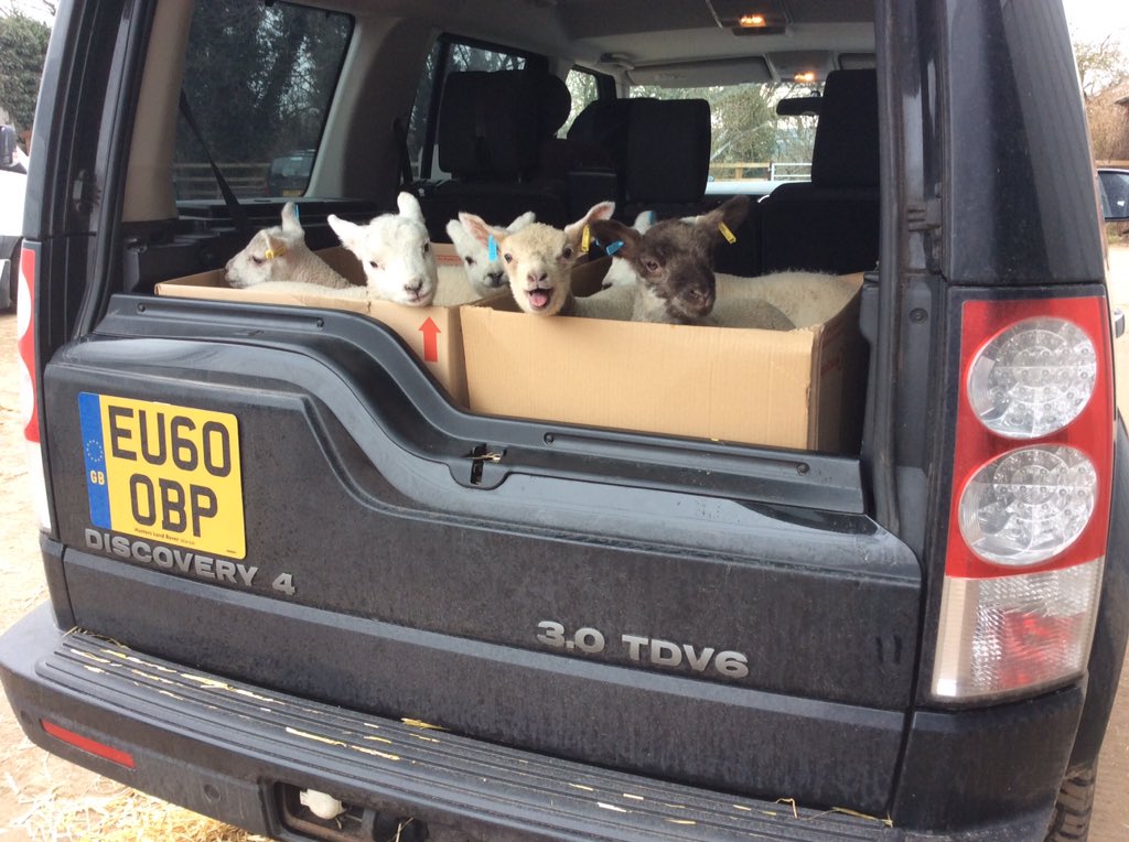 Toriandbensfarm tweet picture