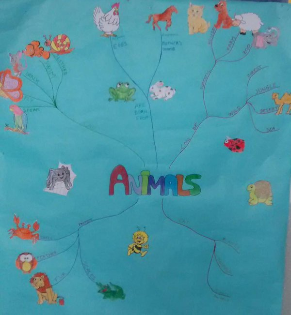DavidVeIez's tweet photo. Evolución 2.0 del mapa conceptual sobre los animales.
🐵🐙🦁🐔🐞🕷🦀🐳🐬🐏🐫🐘🐿
#VisibleThinking #TheAnimalProject #Year1vsYear2 https://t.co/2cqwvpxBNy