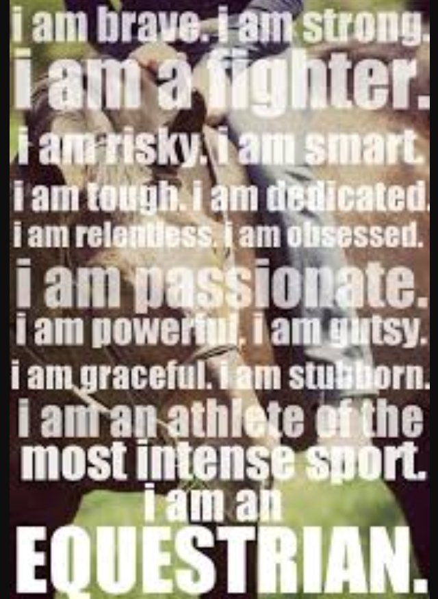 #Equestrian #horses #strong #brave #risky #smart #fighter #tough #passionate #dedicated #graceful #stubborn #athlete