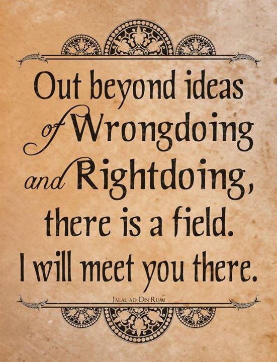 stephen_palfrey's tweet photo. @Rumi_Quote https://t.co/sgnj4xPpku