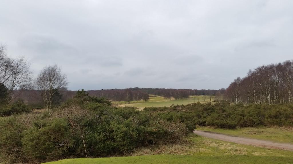 MidlandsGolfer's tweet photo. Thanks all #SuttonColdfieldGC for today &amp; congrats to the greens staff, in amazing nick #Mackenzie #Masters  #April https://t.co/onUFdQMNov