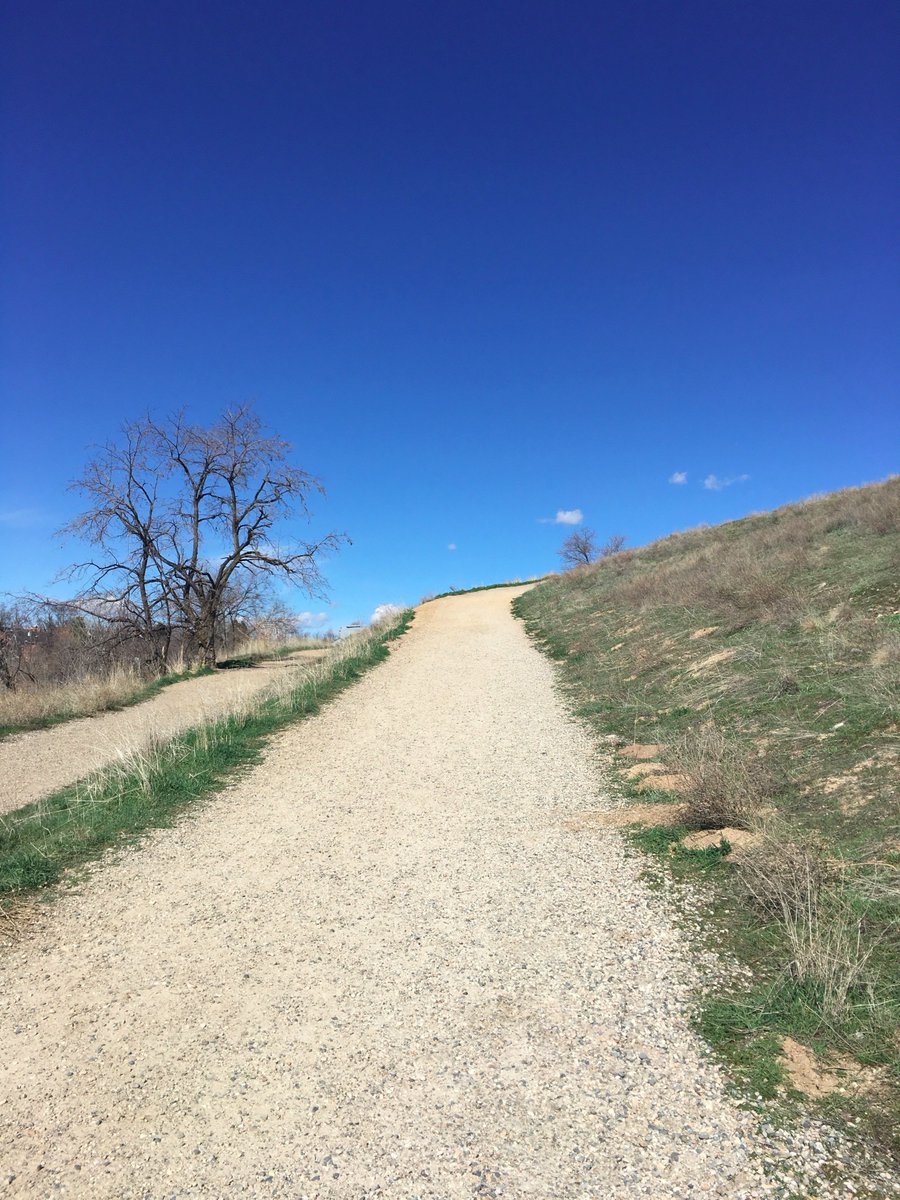 Run_SteveC's tweet image. Love hate relationship with #hillrepeats.