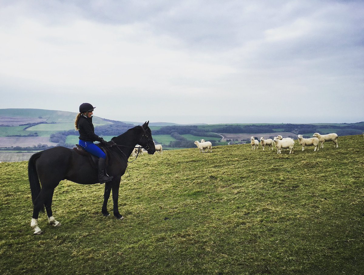 APEquine's tweet image. As its so cold at the moment we are looking to test &amp;amp; promote warm rider clothing... Can you help ?   #dressagehour