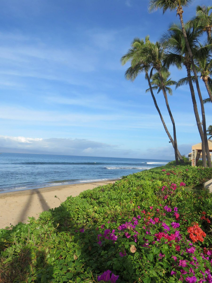 theWeatherboy's tweet photo. In Hawaii, the air is as fragrant as it looks. The more humid it is, the more floral the air. #WhyHawaii https://t.co/PfoyUFmySe