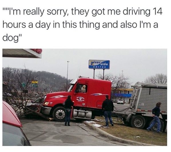 freerandomshit's tweet image. OMG HAHA! - randomshitforfree.blogspot.com