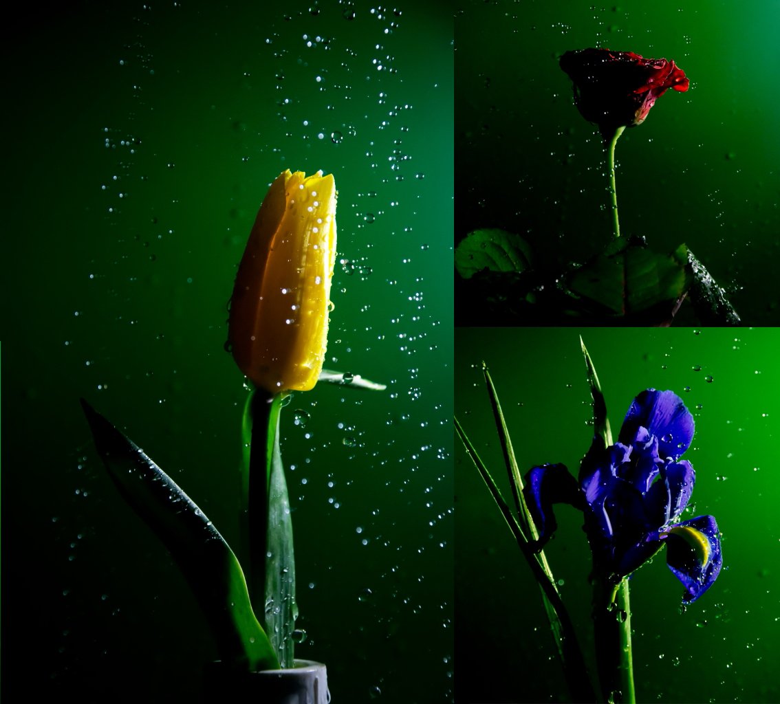 ActingLight's tweet image. Flowers smiling to rain ...... facebook.com/media/set/?set…