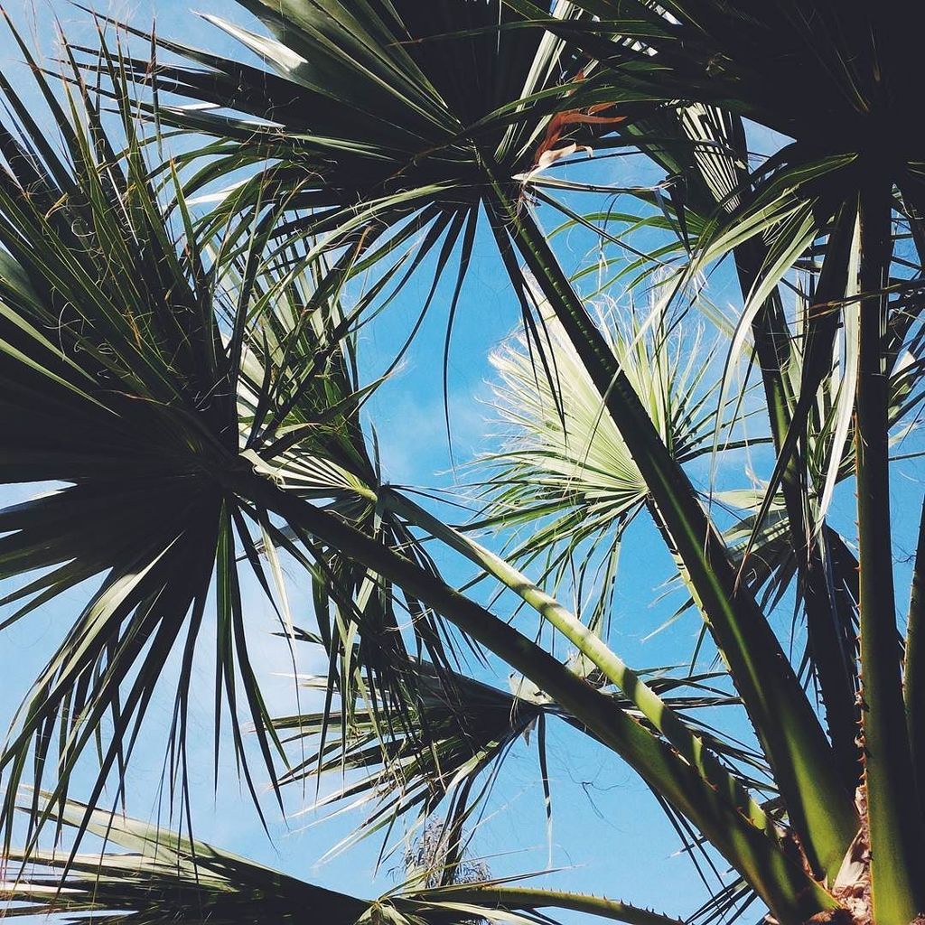 AthensInsta's tweet image. Good night x 
#love #smile #webstragram #picoftheday #illgrammers #way2ill #shoot2kill #be… ift.tt/1U2lb1S