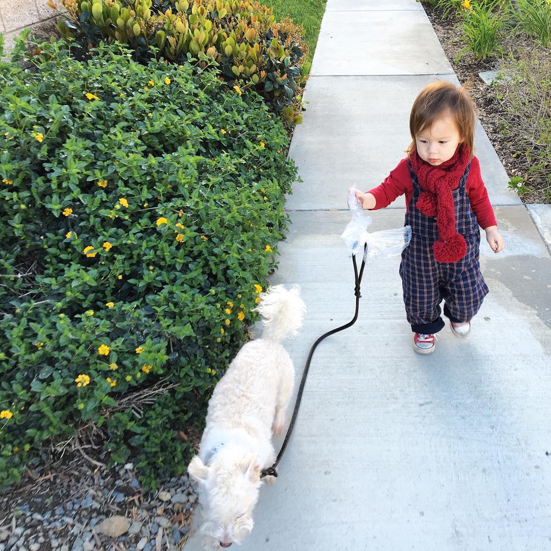 theaims's tweet photo. Windy scarf weather. #adventuresoflincolnelijah #babymodel #cuteboys #gingerasian #SoCalWind https://t.co/JyUOLWaBUu