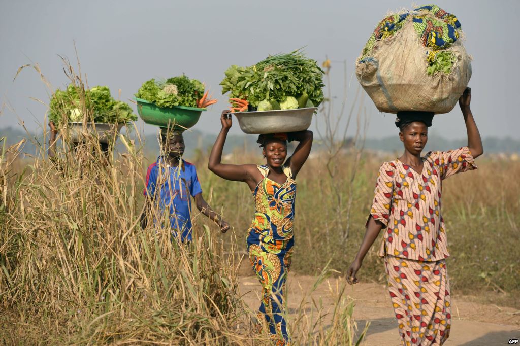 VOANews tweet picture