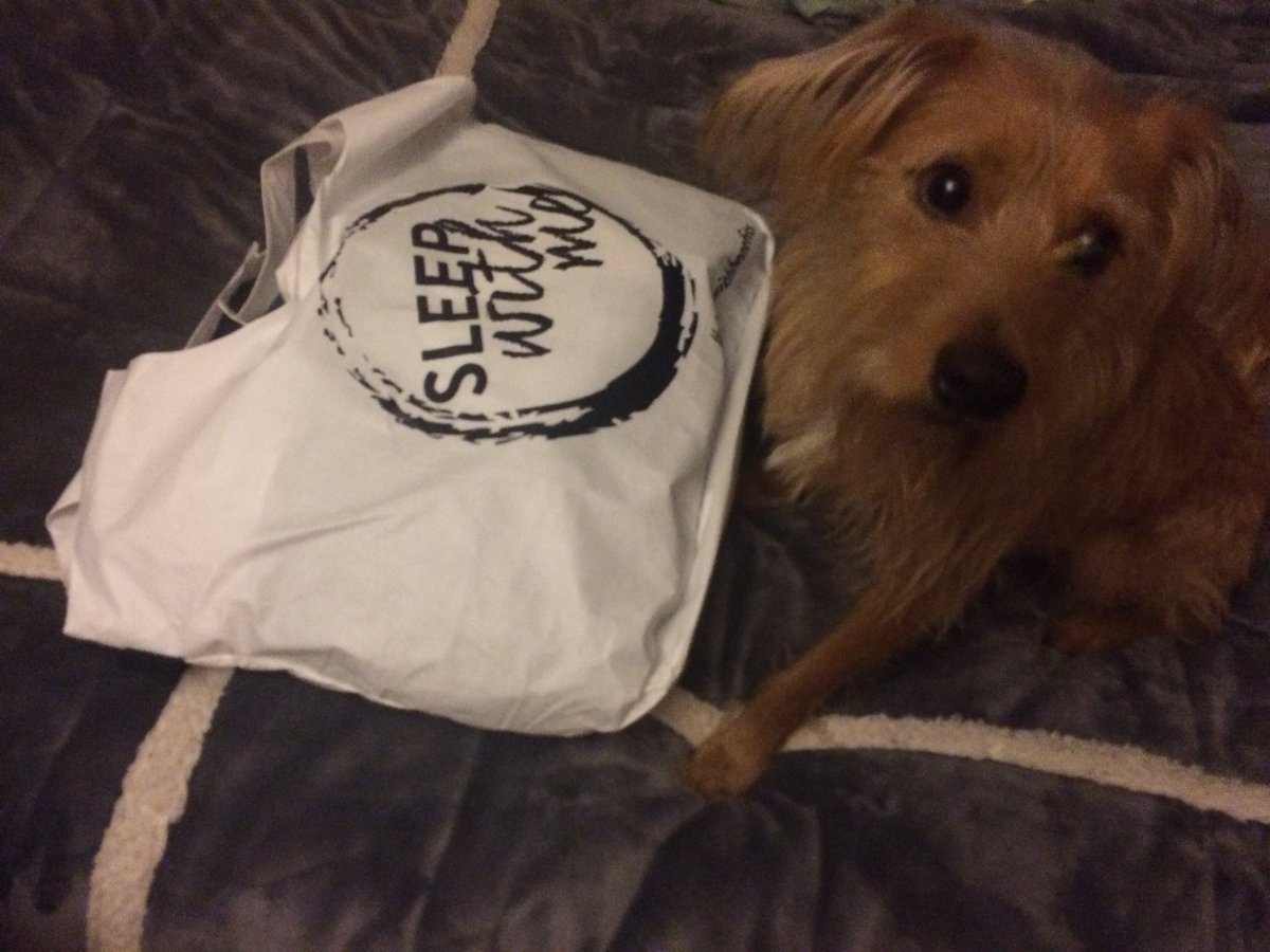 RufustheRedDog's tweet photo. Better quality sleep with @discover_NiGHT is a Rufus-approved indulgence. 💤😴#sleepwithbenefits https://t.co/KlG0qdUoAt
