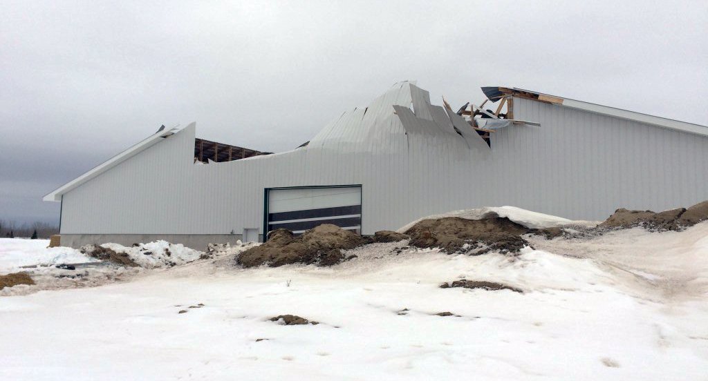 Neighbours rush to rescue after northern Ontario barn collapses with 300 cattle inside: bit.ly/1QJXCFw