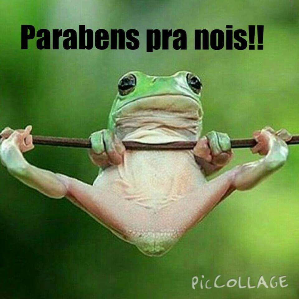 piihzza's tweet photo. Parabens proce miga sua anfibia ❤🐸 @JadePooshy #BdayGe https://t.co/bMOnVFRiHQ