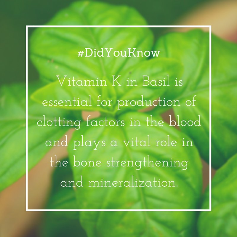 Inner_Chef's tweet image. #DidYouKnow about Basil? Find it in our Pastas and Pesto dishes!

#EatBetter with InnerChef.