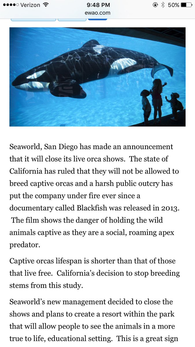 lysdis's tweet photo. Yes!!!! Save the whales 🐋🐋🐋🐋🐳 https://t.co/5V0w9FvS0o