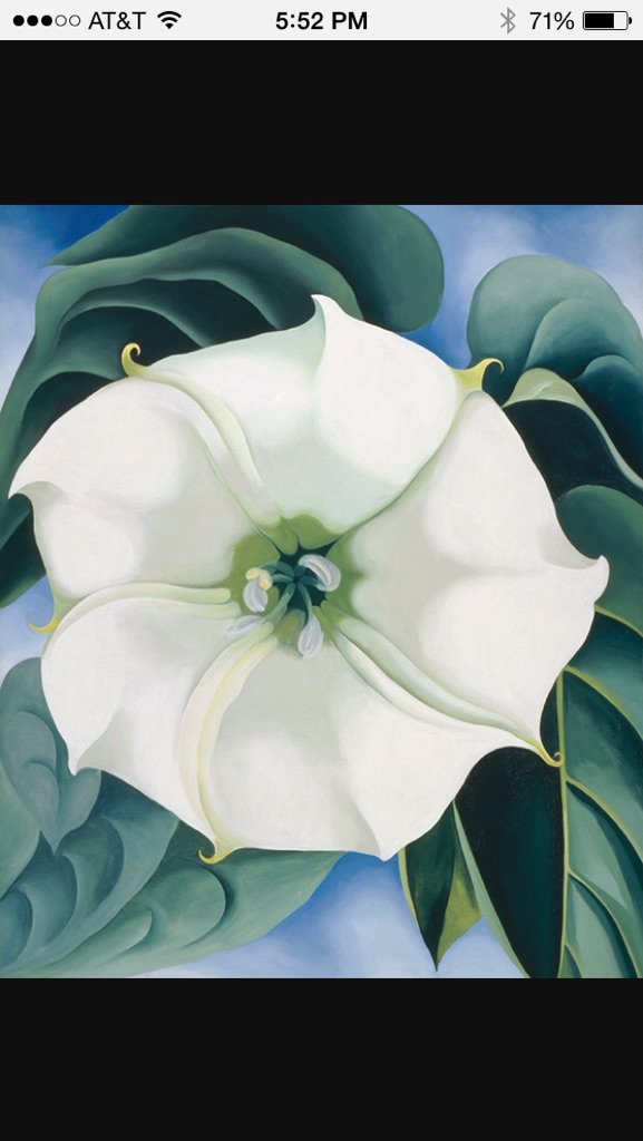 #5womenartists Georgia O'Keefe