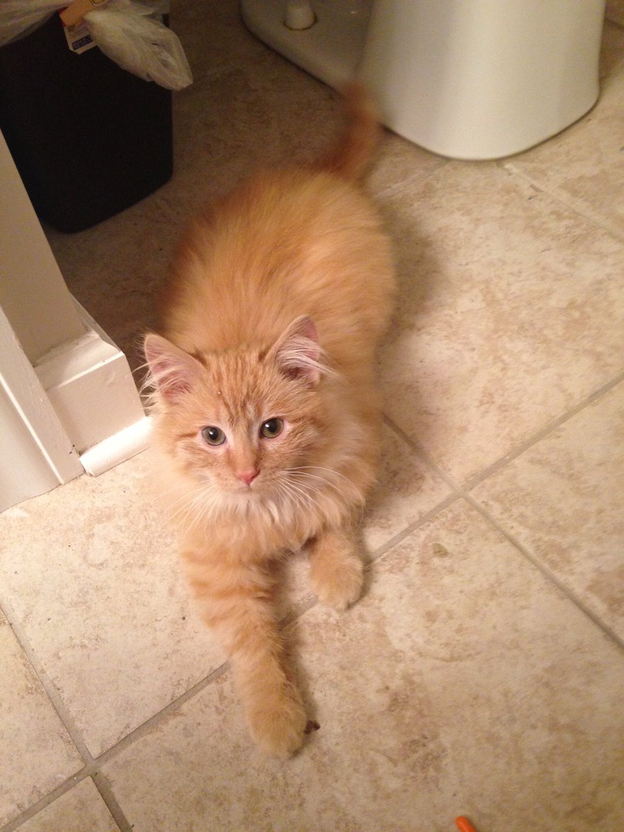 caseybean's tweet image. @caseybean