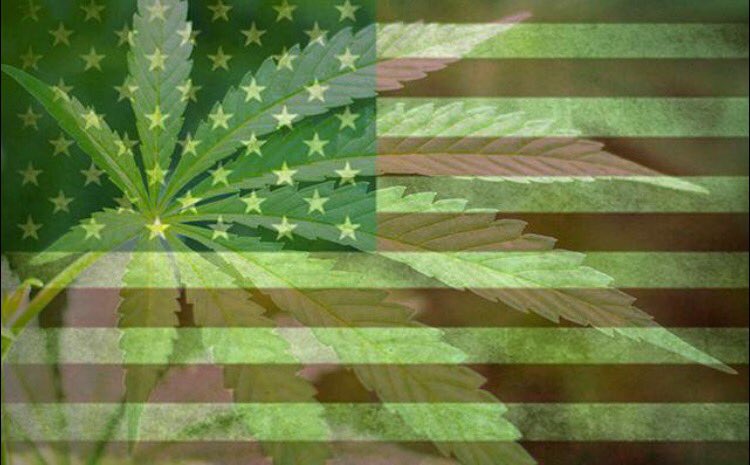gemz1love's tweet photo. @HIGH_TIMES_Mag pic is awesome. Worth a #million words. #legalizeit2016 #legalizeAmerica #HighTimesMag #proCannibus https://t.co/EzWisnvd5B