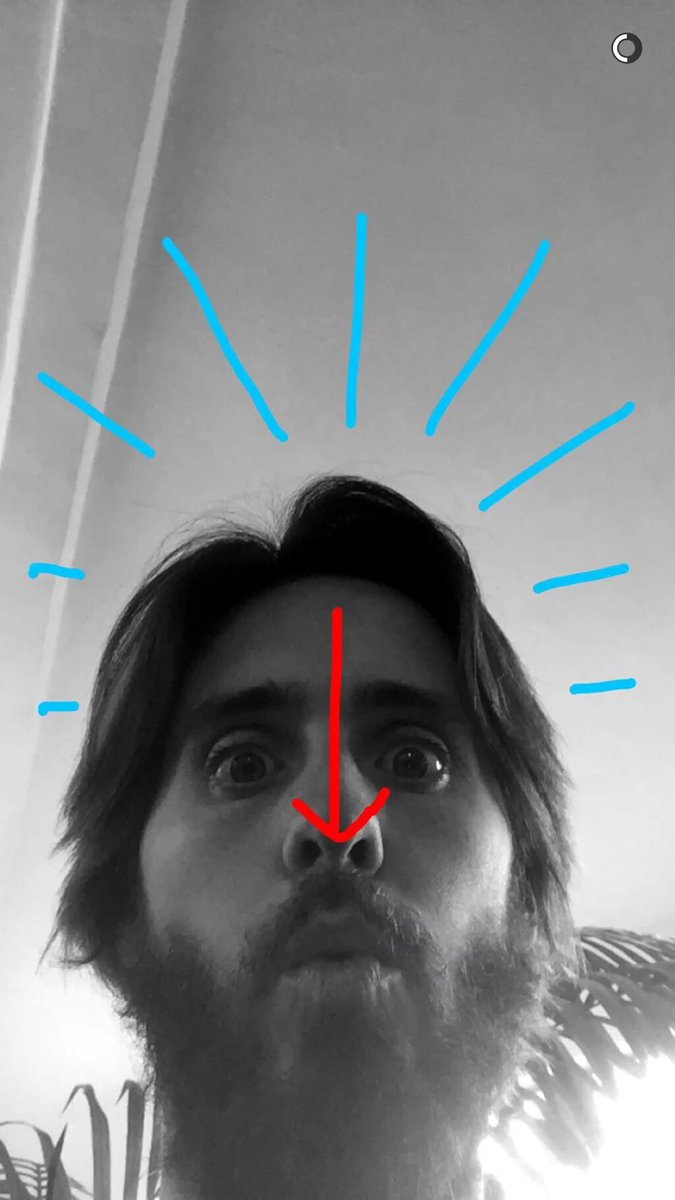 Andressa_Leto's tweet photo. Hello there babe @JaredLeto #snapchat #jaredleto #lips #beard #hairisgettinglonger #king https://t.co/5otLsiuaRG
