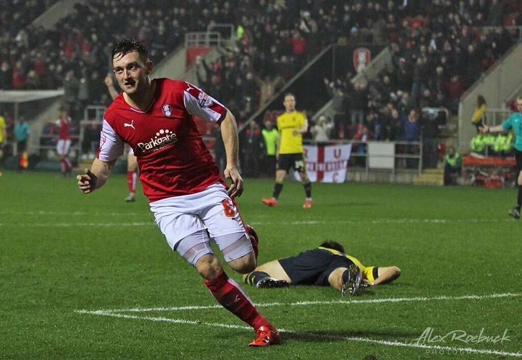 rolo💙 tweet media