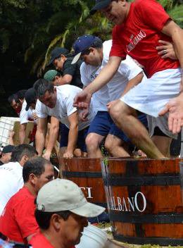 MiguelTorresCL's tweet photo. 30a Fiesta de la Vendimia de Curicó ► https://t.co/ghiwxE246j
#FiestadelaVendimia #Curico2016 https://t.co/J0njj7VD2b
