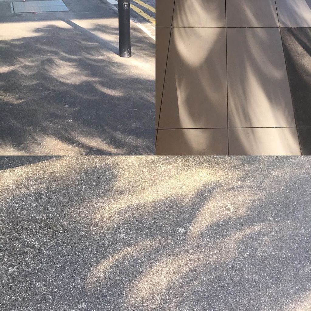 x_clinic's tweet photo. Partial solar eclipse just now in Singapore; where I am to discuss the mega infrastructure… https://t.co/7zHU3pq7hJ https://t.co/xqjokLAee5