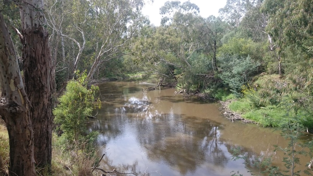Margaret_B_'s tweet photo. Yarra River, Ivanhoe #cyclinglyf https://t.co/5WJN7Ed4gV