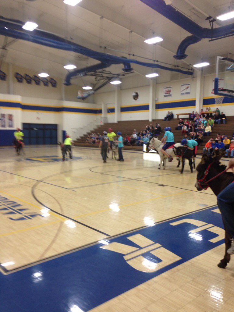 LancasterArrows's tweet photo. FBLA donkey basketball. #arrowpride https://t.co/EagWqXYtc9