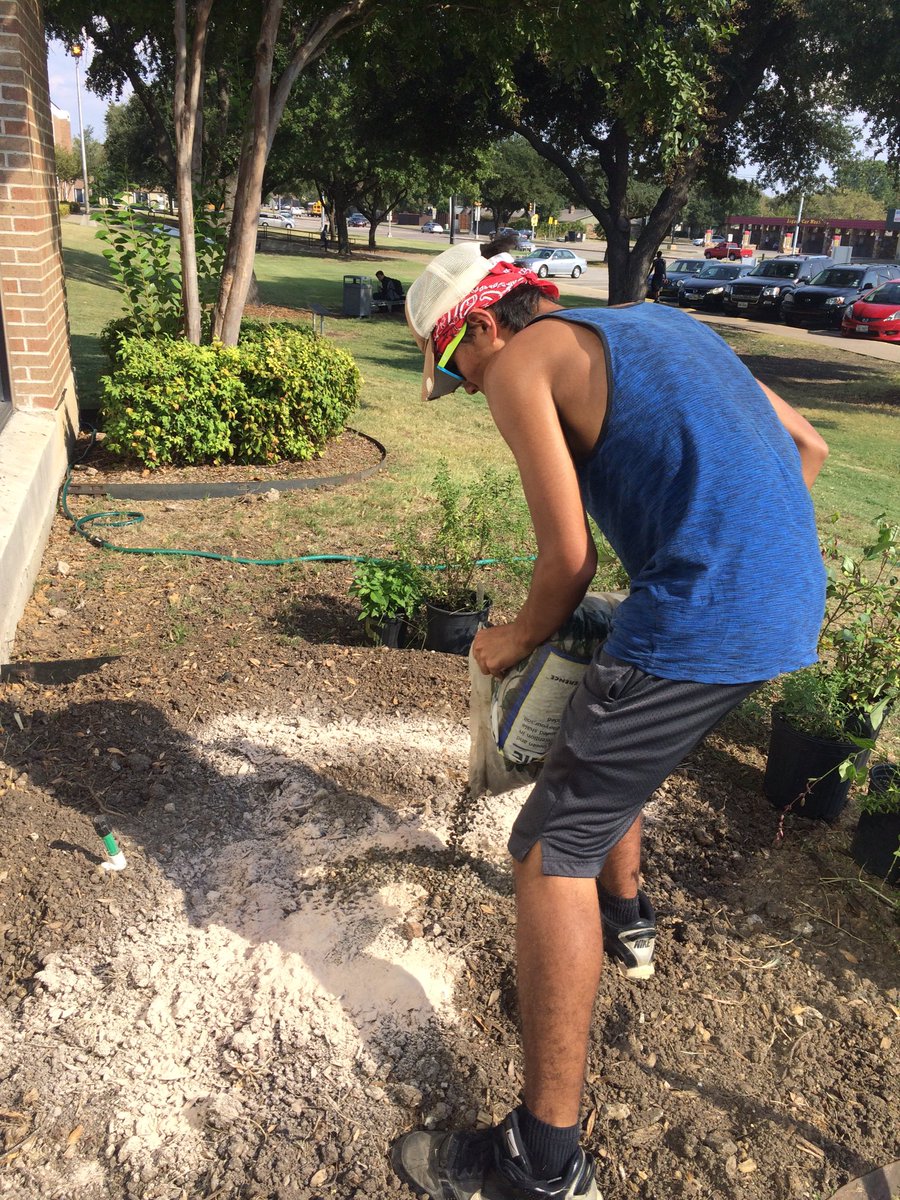 NGHS_KC's tweet photo. North Garland made a school garden called Fluttering with NG with Loving Garland Green!
@TOKEYCLUB #DistrictProject https://t.co/w09KG7HqsV