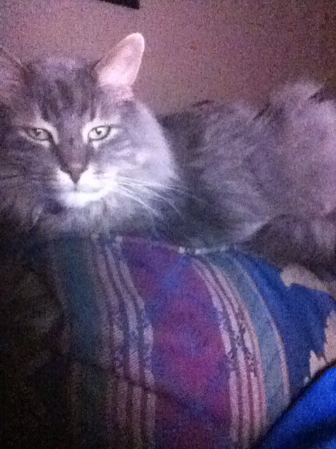 Nathan LaPlante’s pics and videos