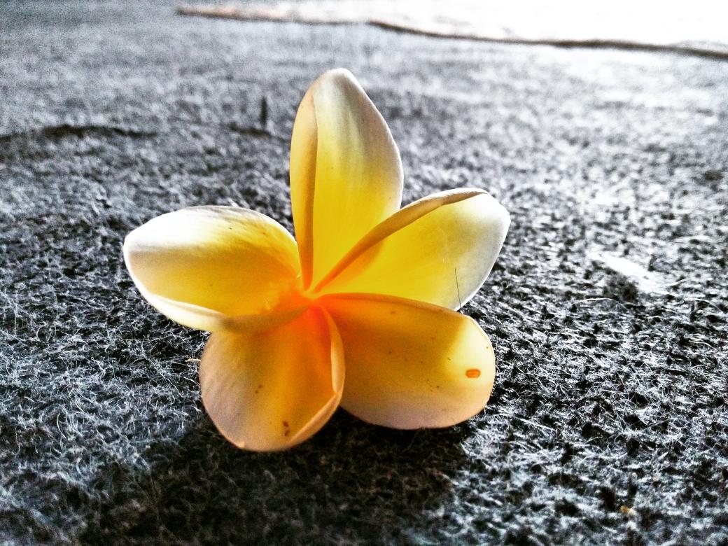 bima_yantarga's tweet photo. Good morning Bali, have fun 
#bali #fun #holiday https://t.co/sLQPo9U1ew