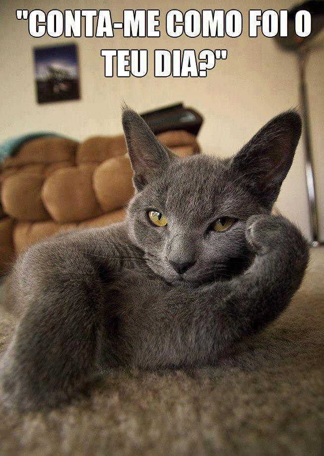 editedsb's tweet image. 