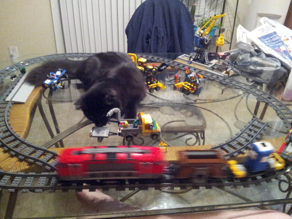 jeksbuilds's tweet photo. My assistant Bruce having a heyday with his new toy. #AFOL #Lego https://t.co/nS46lTwwz4