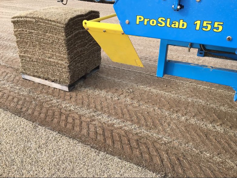 FireFlyRobotics's tweet photo. Cutting 21x42 pieces of zoysia over a minute faster per pallet than hand-stack machines. #perfectpallets #ProSlab https://t.co/U8G7B3sfG7