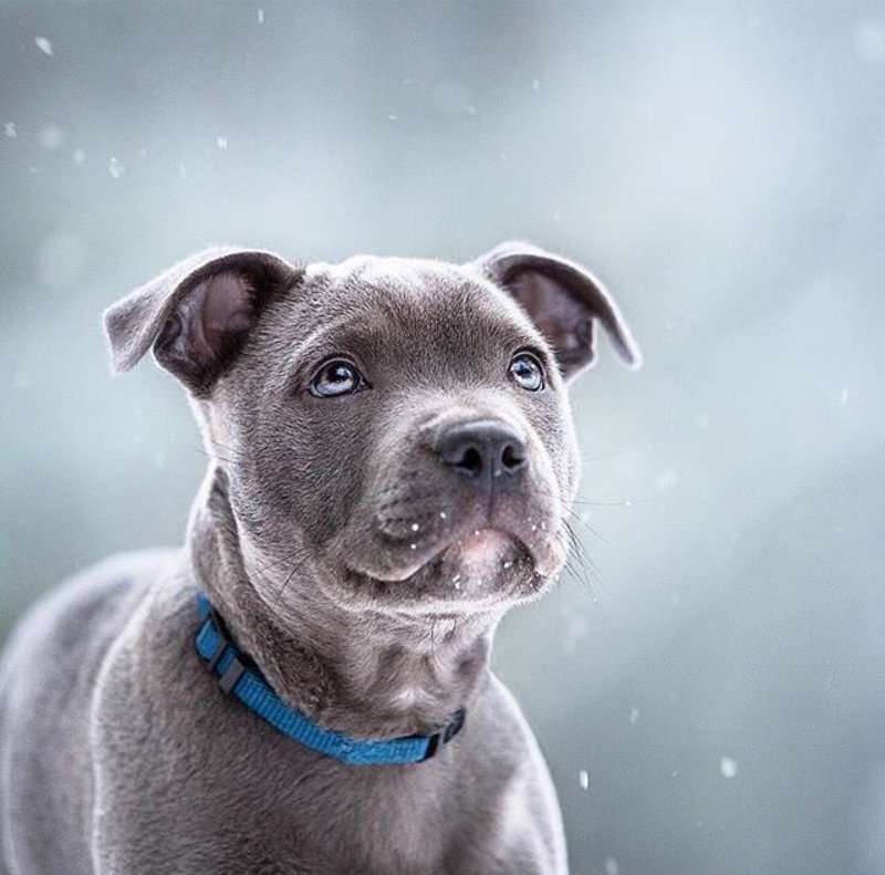 Maryori (@maryori115) on Twitter photo 