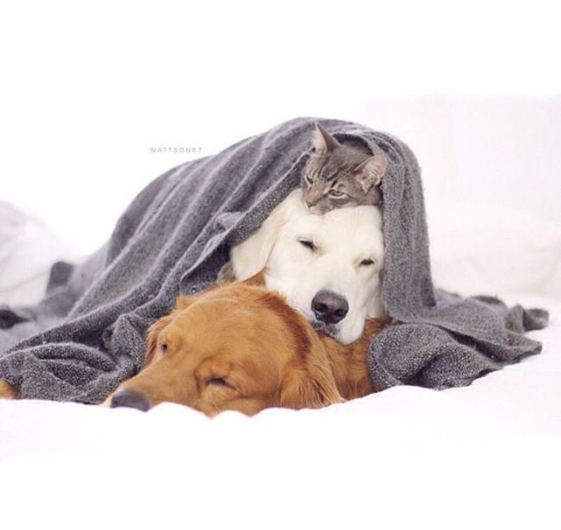 Maryori (@maryori115) on Twitter photo 