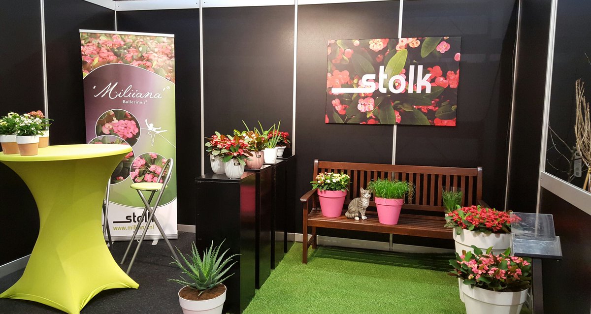 Bezoek ons bij stand 5.6 <a href="/FloraHolland/">Royal FloraHolland</a> #SeasonalTradeFair