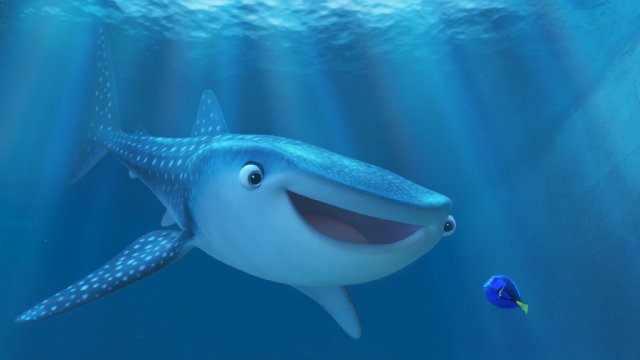 CineBack's tweet photo. #EllenDeGeneres ve #AlbertBrooks'un seslendirmeleriyle @findingdory 17 Haziran'da Vizyonda - https://t.co/2n0BWQV9jX https://t.co/HB4xgGFJfj