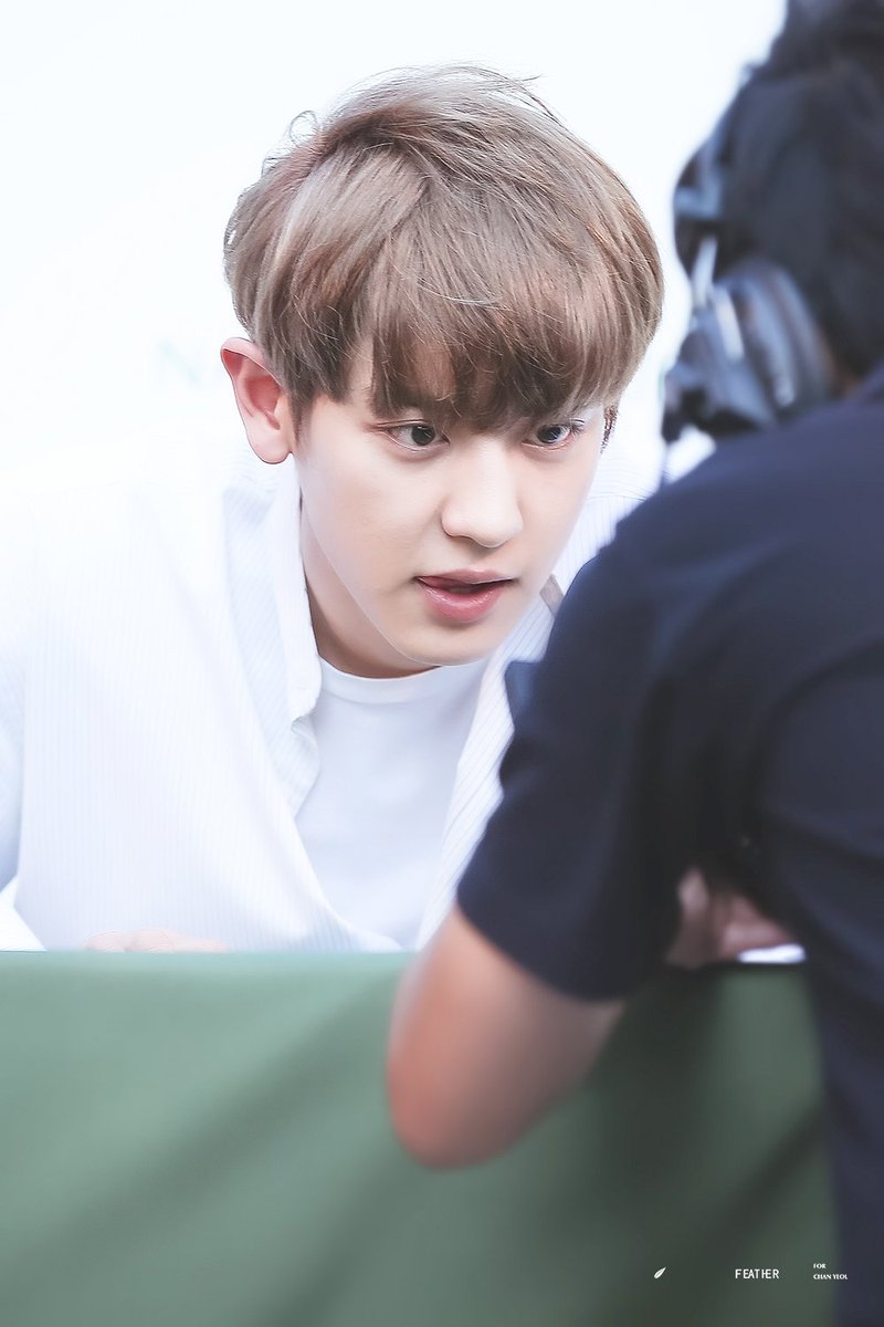 feather_61's tweet photo. 160308 NR #CHANYEOL https://t.co/aarDJip9du https://t.co/rKk0hC7XA0