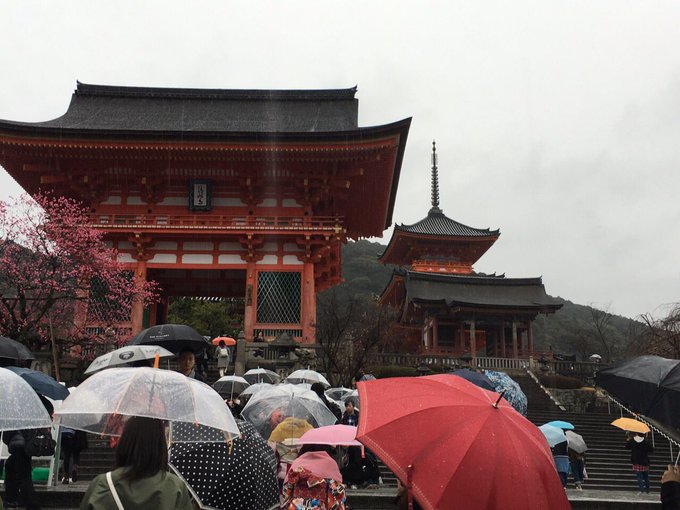 そうだ、京都に来たよ。  ちなの運転で金閣寺&rarr;銀閣寺&rarr;清水寺などを回りました🚗  今は旅館に着いてお友達様はパンツ一丁で部屋の写真を撮ってます😂📷  珍しくちなよりはしゃぐお友達様見れて嬉しい😭💞 https://t