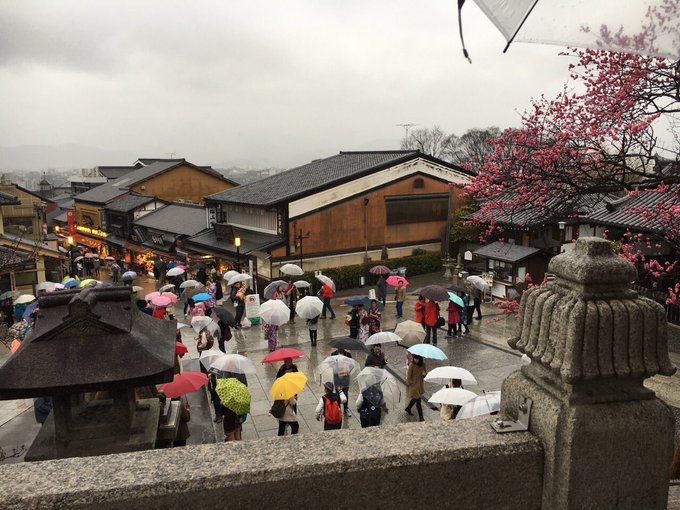 そうだ、京都に来たよ。  ちなの運転で金閣寺&rarr;銀閣寺&rarr;清水寺などを回りました🚗  今は旅館に着いてお友達様はパンツ一丁で部屋の写真を撮ってます😂📷  珍しくちなよりはしゃぐお友達様見れて嬉しい😭💞 https://t