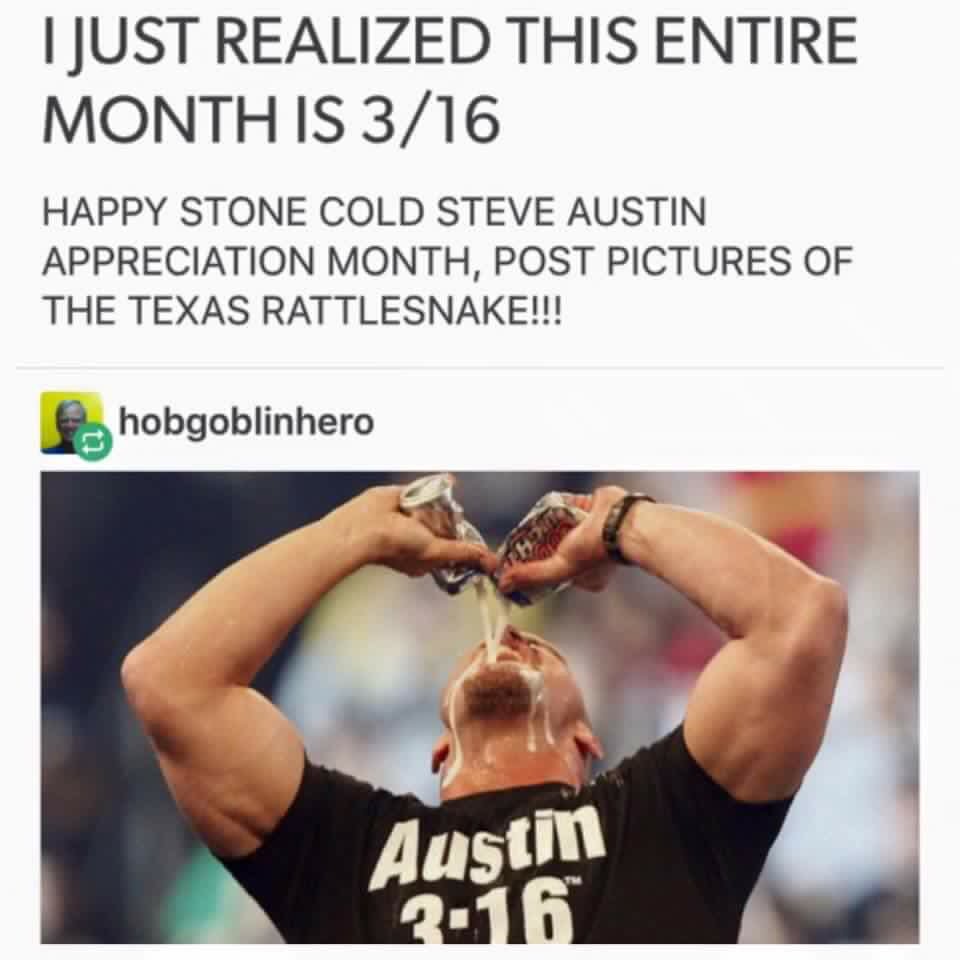 SamuelStJFisher's tweet photo. Just seen this #HappyStoneColdSteveAustinAppreciationMonth @steveaustinBSR https://t.co/MneMS3rzCh