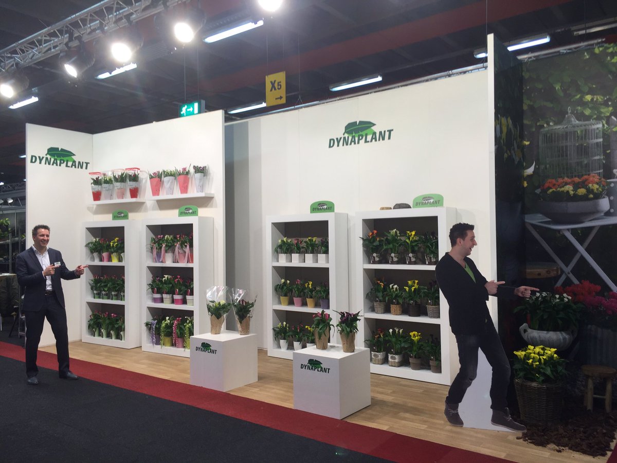 DynaplantNL's tweet photo. Ze staan ernweer klaar voor! Seasonal Tradefair. #Calla #Outdoor #Cadeau https://t.co/pLkn0hlemg