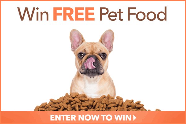 PhilanthropicHR's tweet photo. Retweet please: #Gotpets? Enter to #win a year supply of pet food. #contest #sponsored https://t.co/7Mx1DiIW0n https://t.co/bRjMbqYoLZ